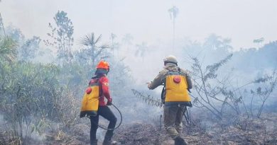 Aceiro 2023: Operação já combateu 2.074 incêndios no interior do estado