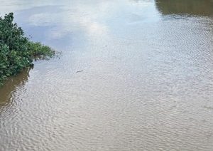 Homem morre após cair em rio quando embarcação é atingida por forte banzeiro no Amazonas