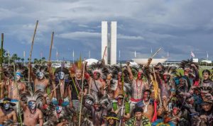 Eleições de 2026 têm recorde de candidaturas indígenas