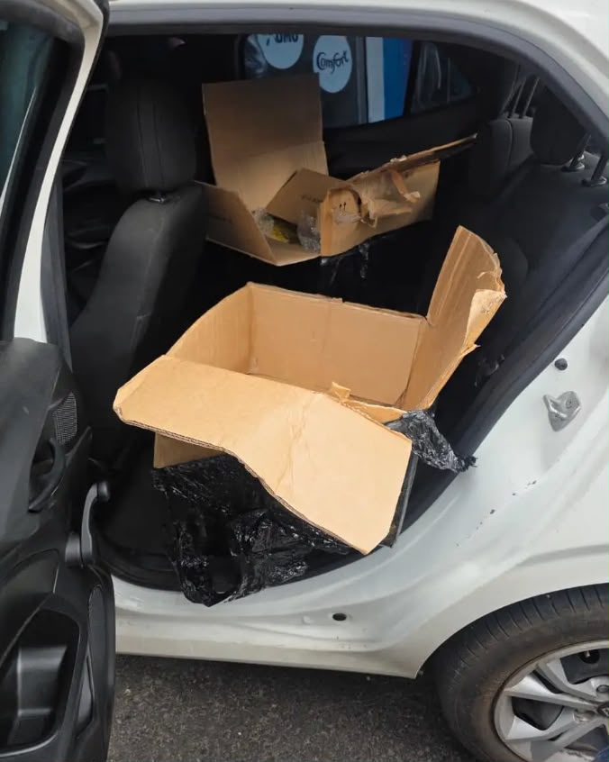 Operação da PF e Polícia Civil apreende 56 kg de drogas escondidas em móveis
