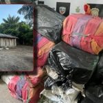 Mais de 1 tonelada de maconha é apreendida em casa no interior do Amazonas