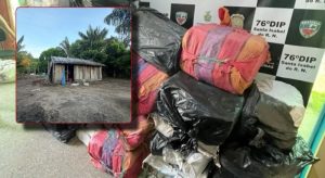Mais de 1 tonelada de maconha é apreendida em casa no interior do Amazonas