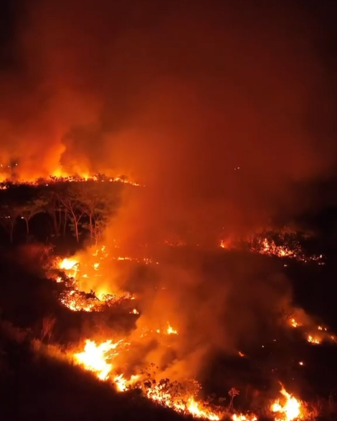 Incêndio de grandes proporções em Iranduba expõe avanço das queimadas no AM