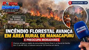 Incêndio florestal avança em área rural de Manacapuru e preocupa moradores